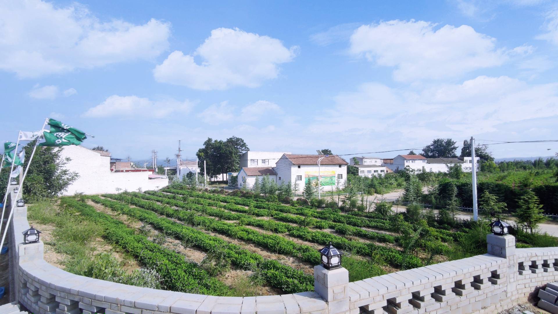 东寨1.jpg 东寨1.jpg