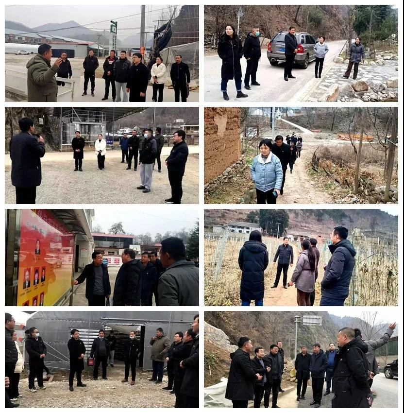 卢氏33.jpg 卢氏33.jpg
