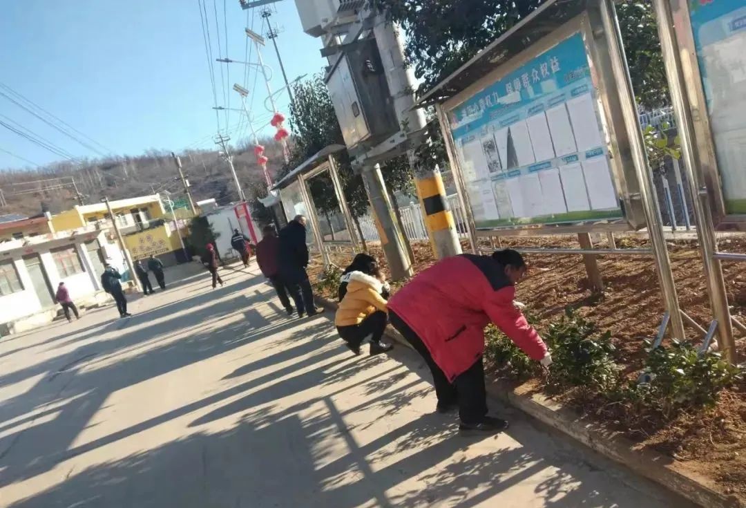 4.jpg 4.jpg